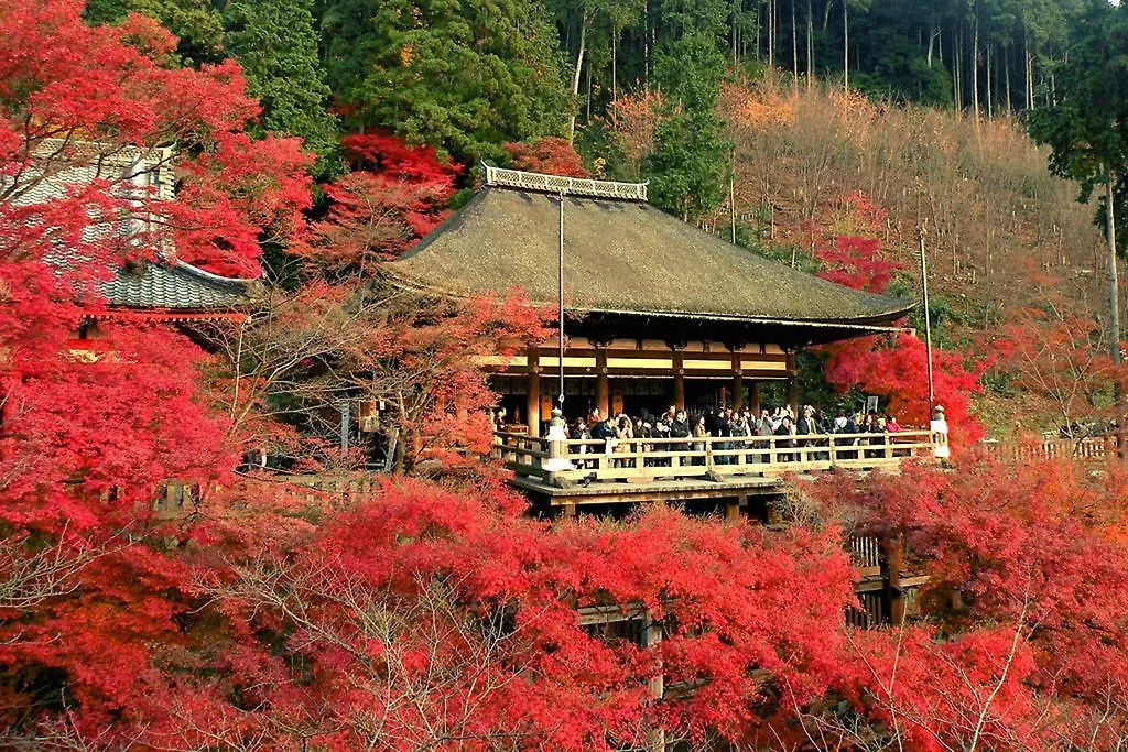Zen Kyoto Kinkaku-Ji Temple Villa 0*,